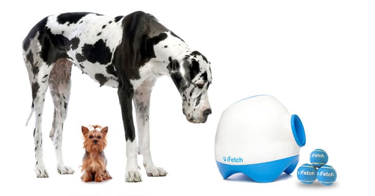 iFetch dog ball launcher review