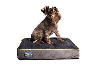 better world pets thick ortopedic dog bed review