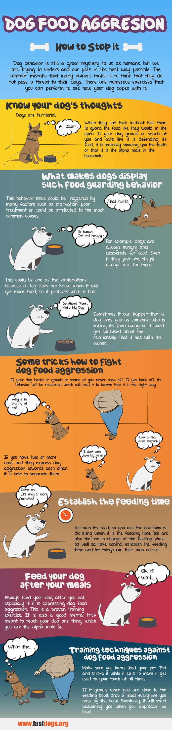 dog food aggression infographic