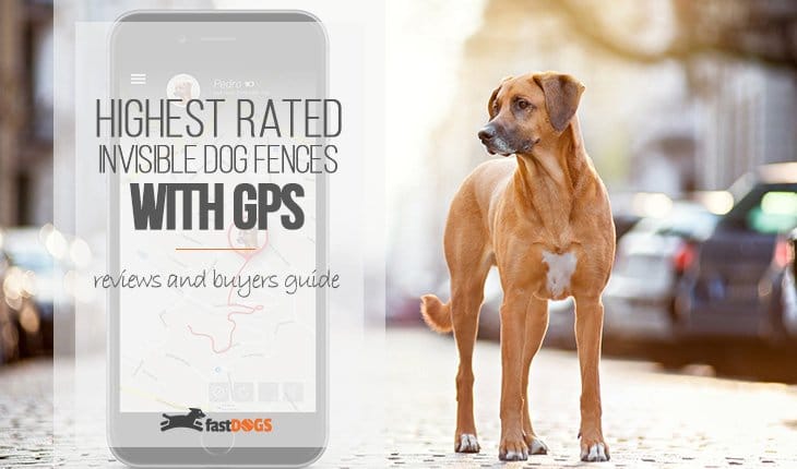 Top Rated Invisible Dog Fence with GPS Reviews
