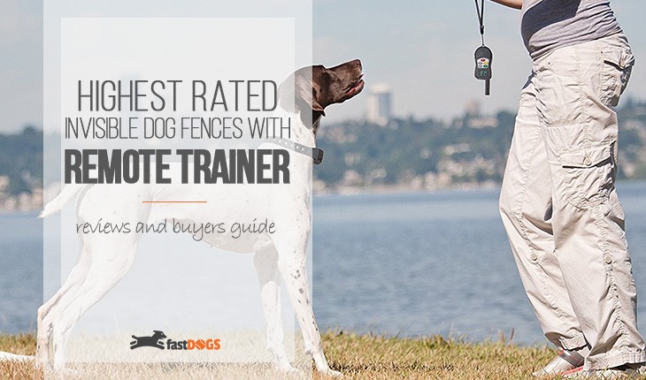 Wireless Dog Fence with Remote Trainer Reviews