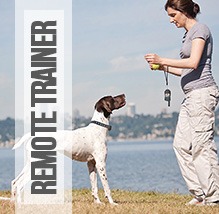 woman training dog with remote