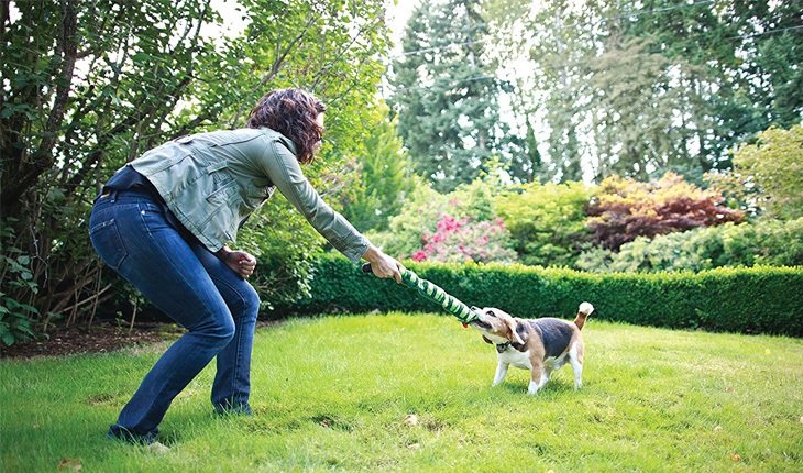 young woman training her dog with invisible fence