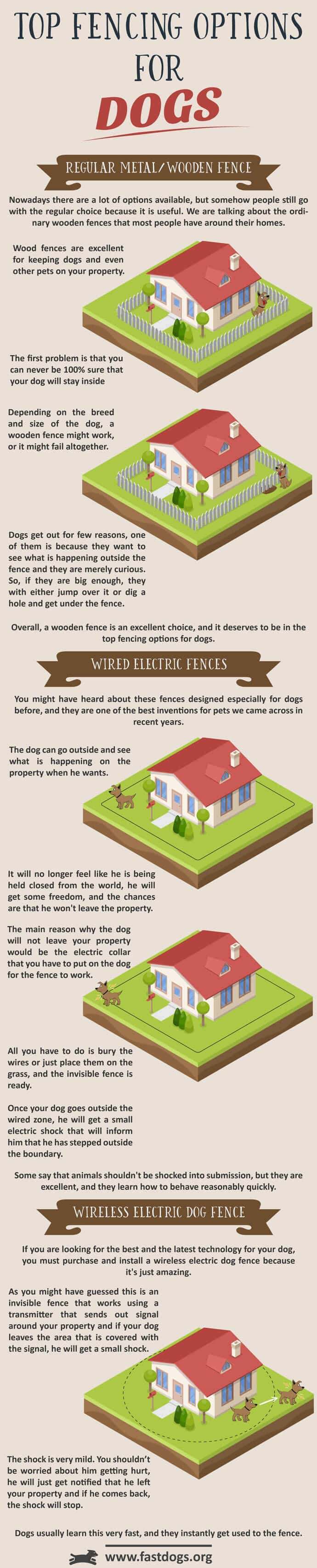 Top Fencing Options for Dogs Infographic