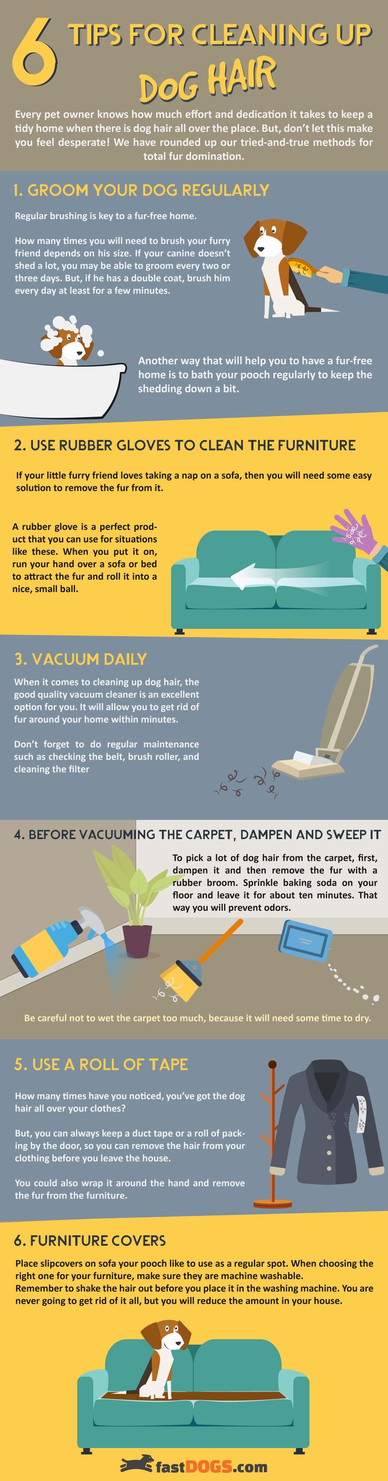 6 Tips for Cleaning Up Dog Hair