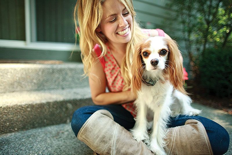 PetSafe Elite Little Dog In-Ground Fence Collar