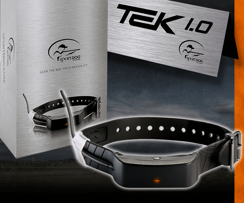 SportDOG Brand TEK Series 1.0 GPS Tracking + E-Collar