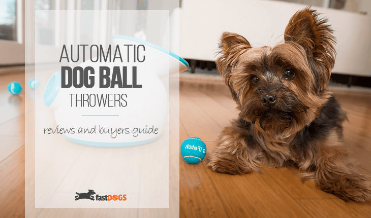 Automatic Dog Ball Throwers