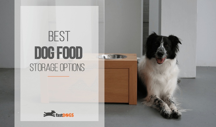Best Dog Food Storage Options