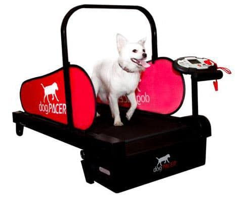 PetZen DogTread Dog Treadmill