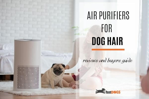 air-purifiers-for-dog-hair