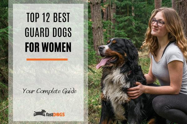 Best guard dogs for women.