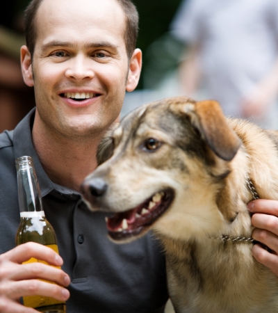 is beer good for dogs.