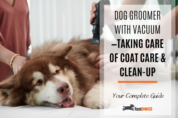 Dog Groomer With Vacuum.