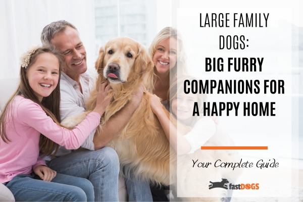 Large Family Dogs.