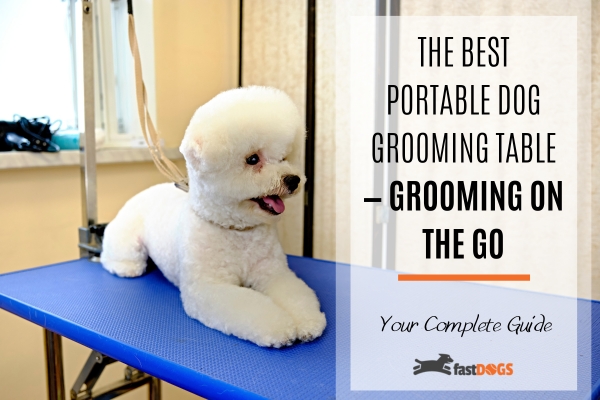 Portable dog grooming table.