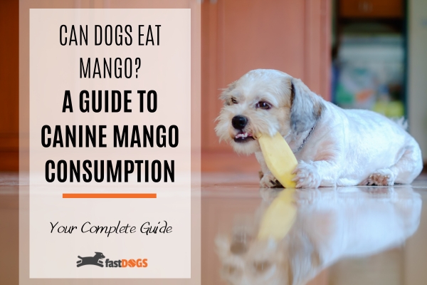 Can Dogs Eat Mango.