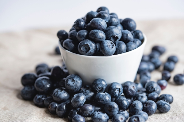 are blueberries safe for dogs.