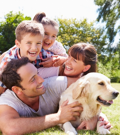 best dog breeds for families.