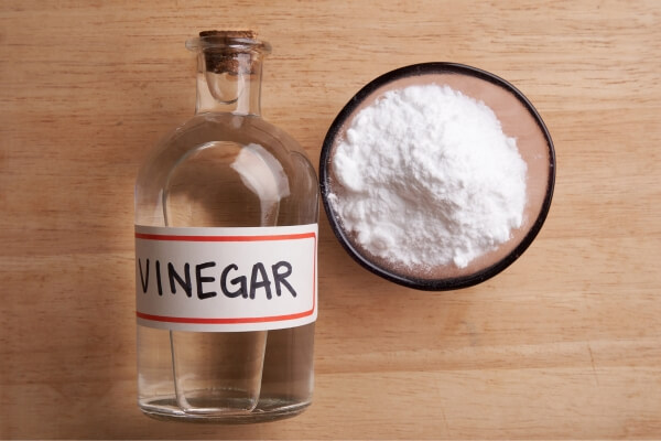 Vinegar as dog repellent for lawns