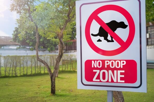 keep dogs from pooping