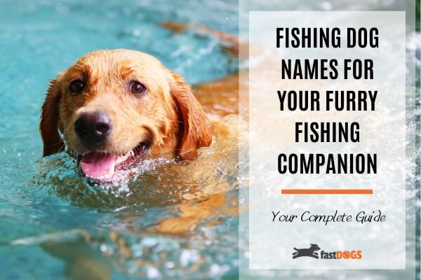 fishing inspired dog names