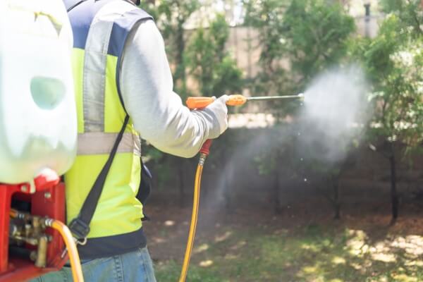 Spray Around the Perimeter of Your Home