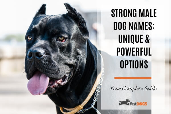 Strong Male Dog Names
